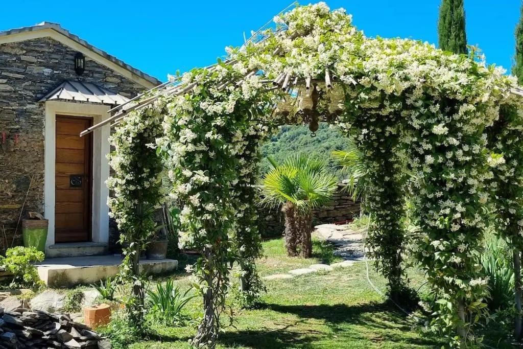 Domaine Colonna-Santini, Gite Piscine, Sauna, Spa Porri Exterior photo